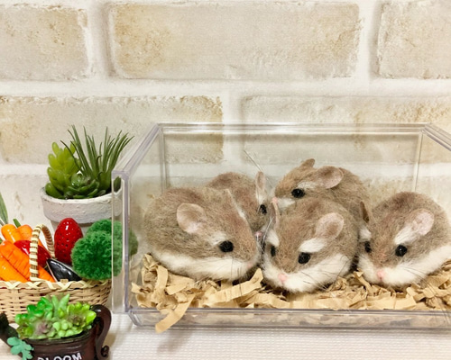 0_eb110426d396c2f974bd27537118