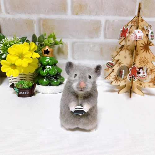 ゴールデンハムスター　羊毛フェルト タマ座布団 ノーマルバンデッド ゴールデンハムスター 羊毛フェルト