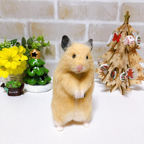 13.5cm 体型ふっくら♪少し首をかしげた *キンクマハムスターさん