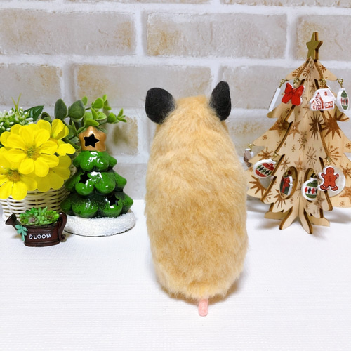 伸び～!!!!*キンクマ ハムスター* 大きめリアルサイズ 15cm<羊毛