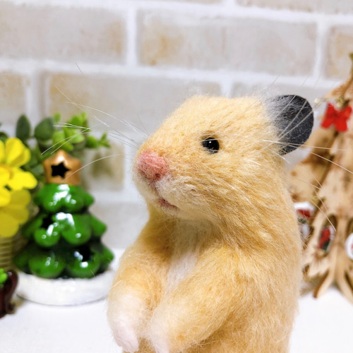 13cm お友達になってください…*キンクマハムスター* 羊毛