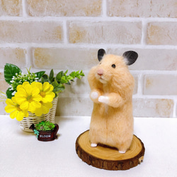 0_d7c2a4dce1e56cafbd8f56acce19