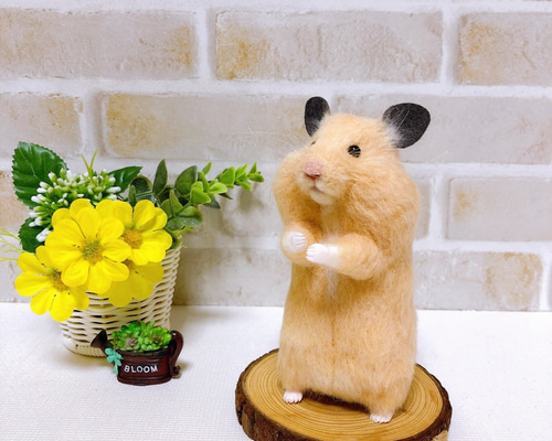 0_d7c2a4dce1e56cafbd8f56acce19