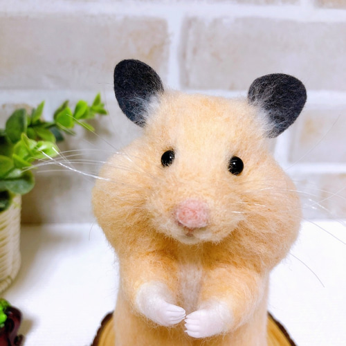 大きなほっぺの *キンクマハムスターさん* <羊毛フェルト> 羊毛