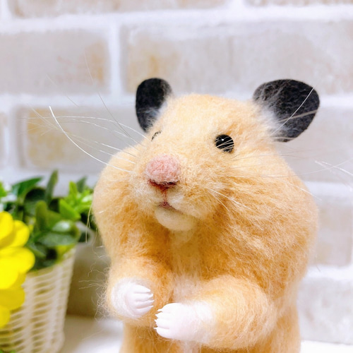 大きなほっぺの *キンクマハムスターさん* <羊毛フェルト> 羊毛