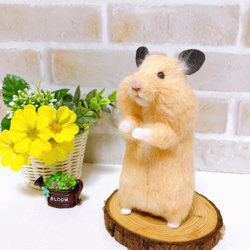 きなこさんオーダーページ　羊毛フェルト　ハムスター 大きなほっぺの *キンクマハムスターさん* <羊毛フェルト> 羊毛