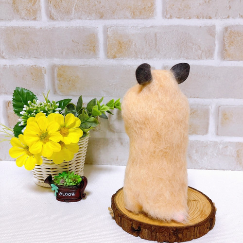 大きなほっぺの *キンクマハムスターさん* <羊毛フェルト> 羊毛