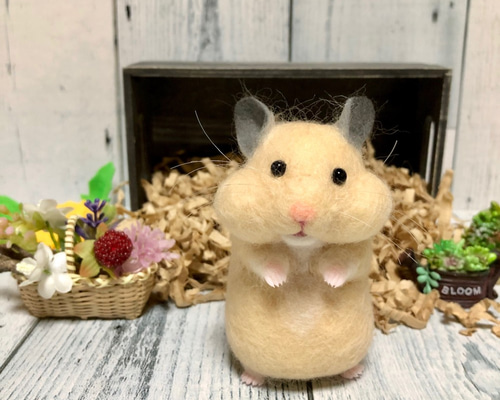 0_ac20a21c6d759353ee98a0ea1fe9