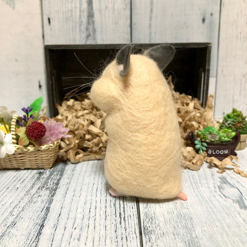 ぽっちゃりハム *ほっぺパンパン キンクマハムスター* 10㎝ 羊毛