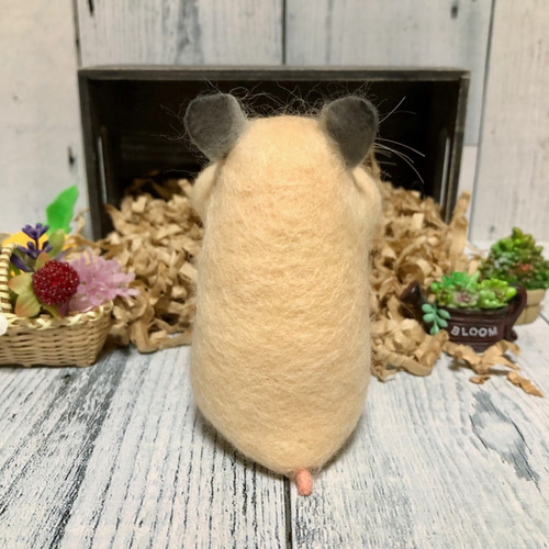 ぽっちゃりハム *ほっぺパンパン キンクマハムスター* 10㎝ 羊毛