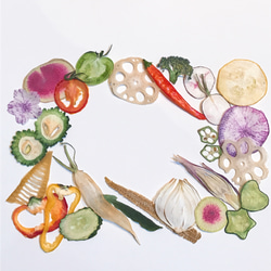 押し野菜 色々な野菜セット 押しフルーツ 押し花 素材 ボタニカルキャンドル ハーバリウム 1枚目の画像