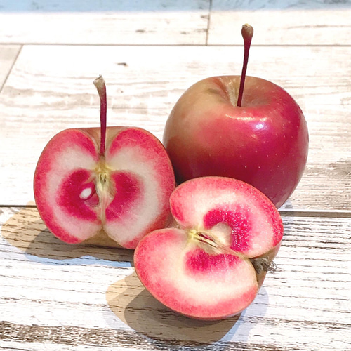 姫りんご 可愛い！果肉まで赤い 姫リンゴ 押しフルーツ 7枚 押し花素材 クリア