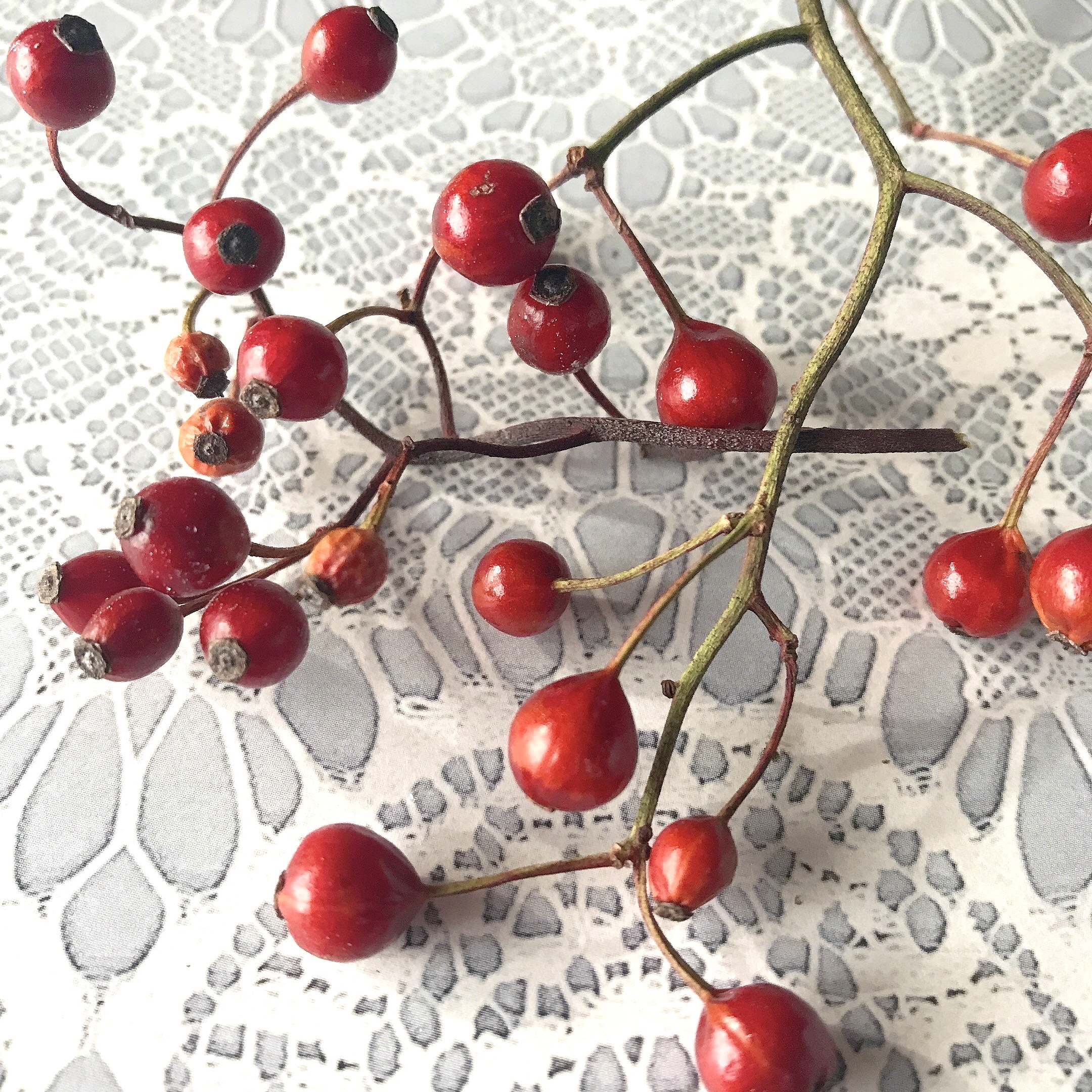 野ばらの実 5本 赤い実 ノイバラ ノバラの実 ローズヒップ ドライ