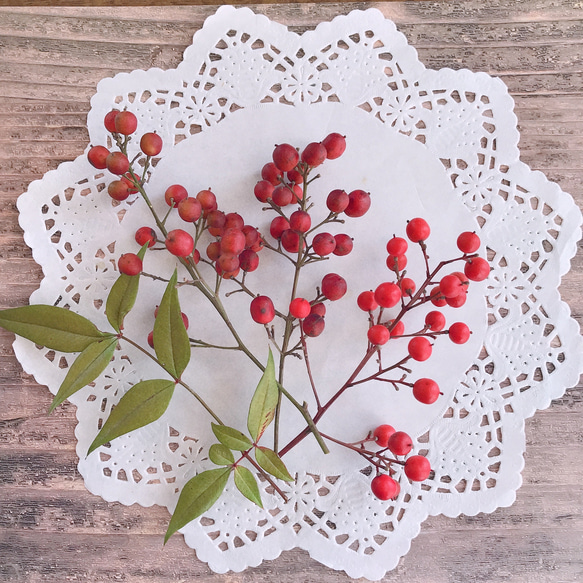 南天の実 枝2〜3本 真っ赤な実 ドライフラワー ハーバリウム スワッグ