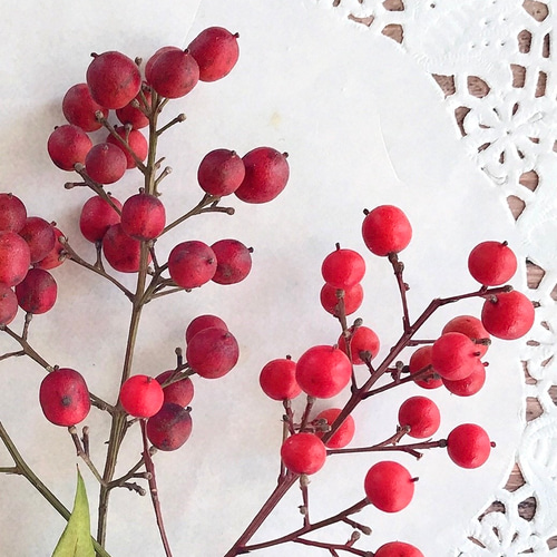 赤い実のドライフラワー枝物 約100cm2本短かめ3本