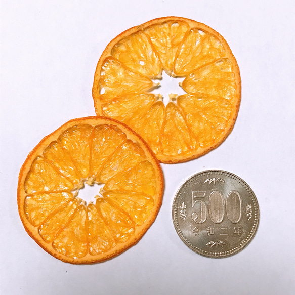 オレンジ (ダブルマーコット) 押しフルーツ 6枚 みかん ポンカン キャンドル クリアリウム レジン 素材 2枚目の画像