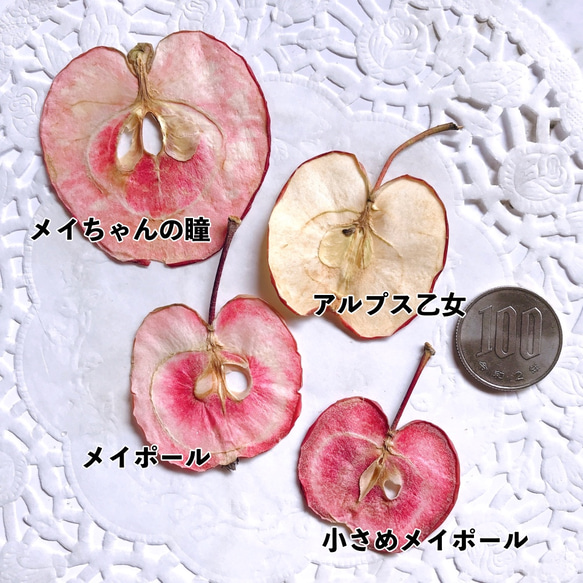果肉も赤い 小型りんご (メイちゃんの瞳) 押しフルーツ 5枚 小さいりんご ボタニカル素材 キャンドル  レジン 2枚目の画像
