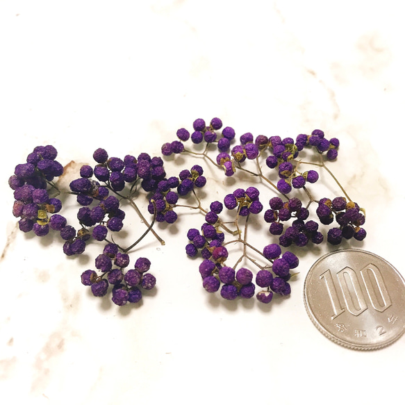 ムラサキシキブ 紫の実 小枝7〜8本 ドライフラワー ハーバリウム スワッグ リース 素材 2枚目の画像