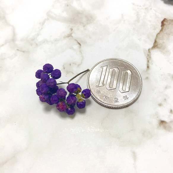 ムラサキシキブ 紫の実 小枝7〜8本 ドライフラワー ハーバリウム スワッグ リース 素材 3枚目の画像