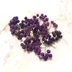 ムラサキシキブ 紫の実 小枝7〜8本 ドライフラワー ハーバリウム スワッグ リース 素材 4枚目の画像