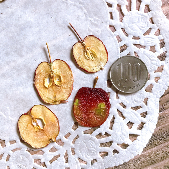 ミニりんご ベビーアップル 押しフルーツ 10枚 摘果 素材 キャンドル ハーバリウム レジン 押しフルーツ 3枚目の画像
