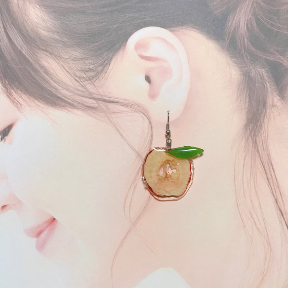 ミニミニ 姫りんご ベビーアップル 押しフルーツ 12枚 摘果 素材 キャンドル ハーバリウム レジン 押しフルーツ 4枚目の画像