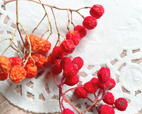 1_bd7d77dcf329a60fd77fe41fc749