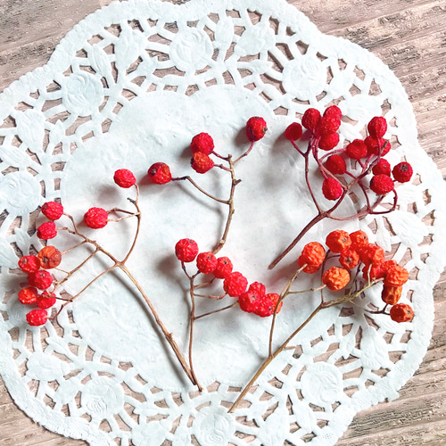 ナナカマドの実 小枝5本 赤い実 ドライフラワー ハーバリウム スワッグ