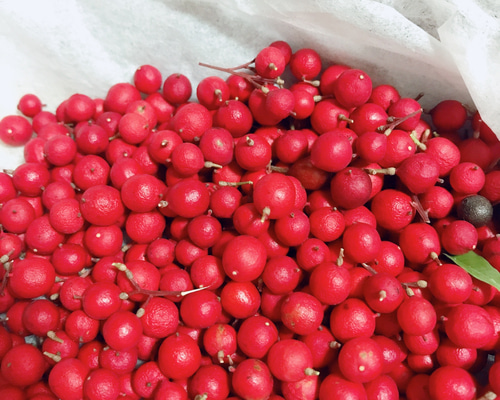 南天の実 50粒 真っ赤な実 ドライフラワー ハーバリウム スワッグ