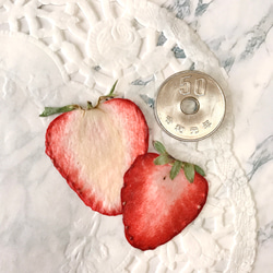 押しいちご ( 紅ほっぺ Mサイズ)  10枚 イチゴ レジン キャンドル 押し花素材 ドライフルーツ 2枚目の画像