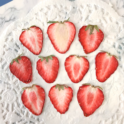 押しいちご ( 紅ほっぺ Mサイズ)  10枚 イチゴ レジン キャンドル 押し花素材 ドライフルーツ 1枚目の画像