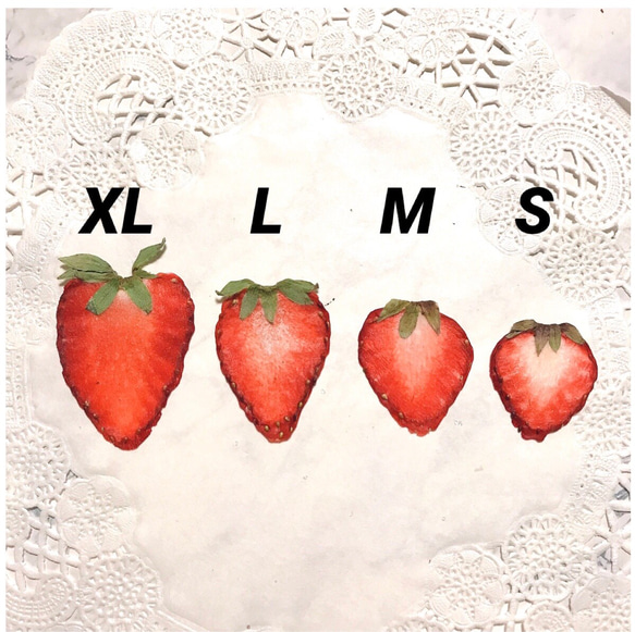 押しいちご ( 紅ほっぺ Mサイズ)  10枚 イチゴ レジン キャンドル 押し花素材 ドライフルーツ 3枚目の画像