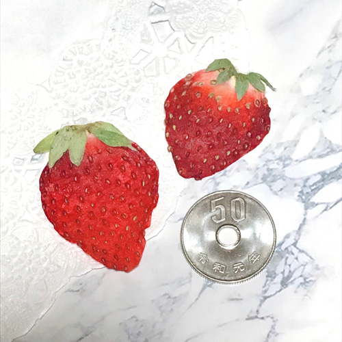 いちごぷりん様♡専用ページ 🍓 strawberry festival 🍓 花子くんグラッテからの🛸カフェ