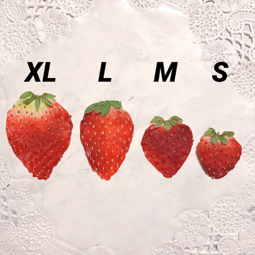 いちご様☆オーダーページ マルタべーカリー | とざわさん家のいちご🍓 【北の輝き
