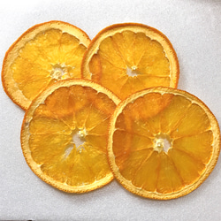 バレンシア オレンジ  押しフルーツ 4枚 ポンカン みかん ハーバリウム レジン キャンドル ドライフルーツ 素材 1枚目の画像