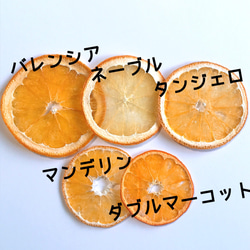 バレンシア オレンジ  押しフルーツ 4枚 ポンカン みかん ハーバリウム レジン キャンドル ドライフルーツ 素材 2枚目の画像