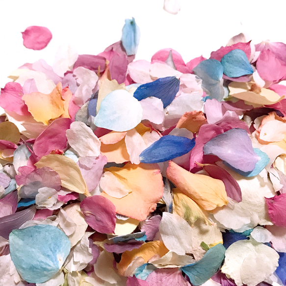 花びら 詰め合わせ 桜 桃 紫陽花 スミレ ドライフラワー ハーバリウム 