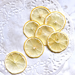 レモン  押しフルーツ 素材 7枚 素材 ハーバリウム レジン キャンドル ドライフルーツ 1枚目の画像