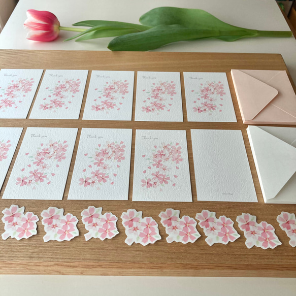 桜のミニサンキューカードセット 1枚目の画像