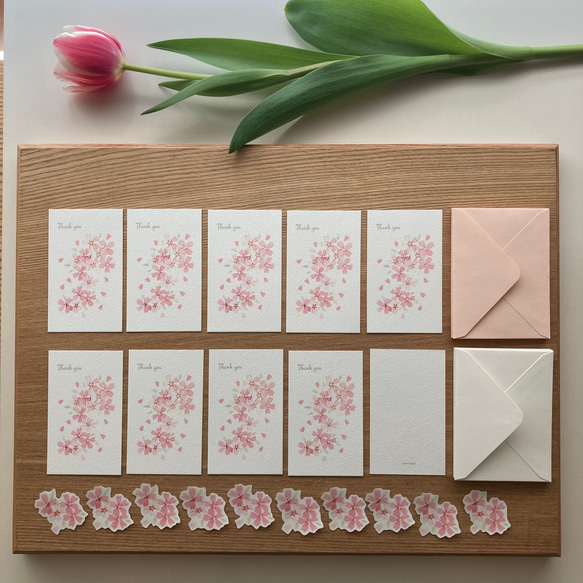 桜のミニサンキューカードセット 2枚目の画像