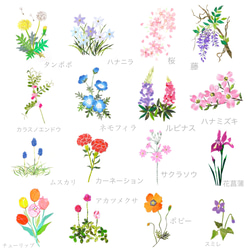 選べる春の花ポストカード6枚セット 1枚目の画像
