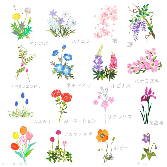 選べる春の花ポストカード6枚セット 明信片 tomocollage 的作品