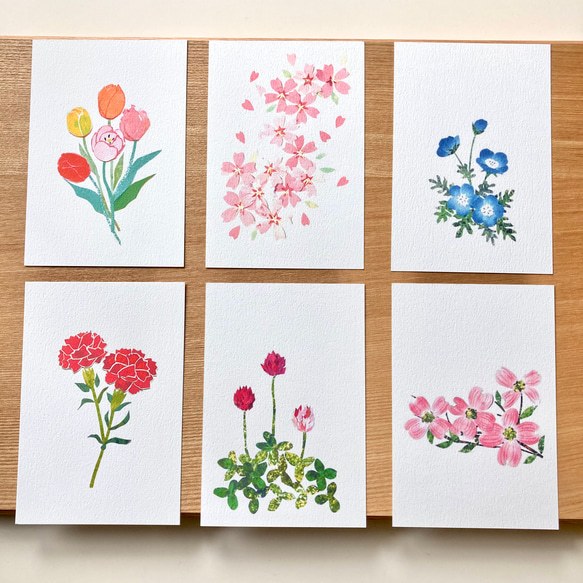選べる春の花ポストカード6枚セット 2枚目の画像