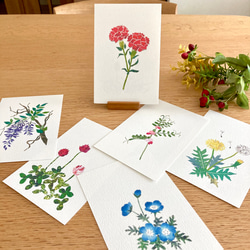 選べる春の花ポストカード6枚セット 8枚目の画像