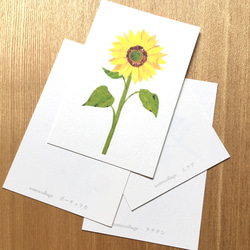 『数量限定10点　夏の福袋』季節の花ポストカード 10枚セット＋おまけ 3枚目の画像