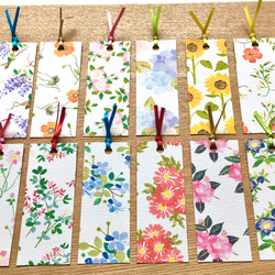 『数量限定10点　夏の福袋』季節の花ポストカード 10枚セット＋おまけ 5枚目の画像