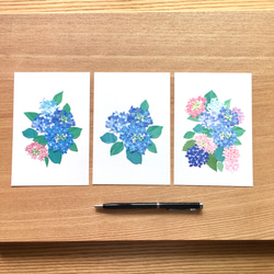紫陽花のポストカード6枚セット 1枚目の画像