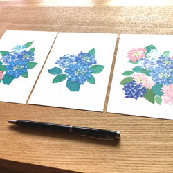 紫陽花のポストカード6枚セット 3枚目の画像