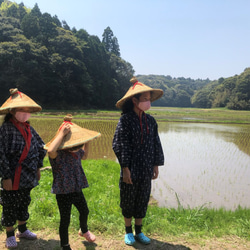 日本酒 3枚目の画像