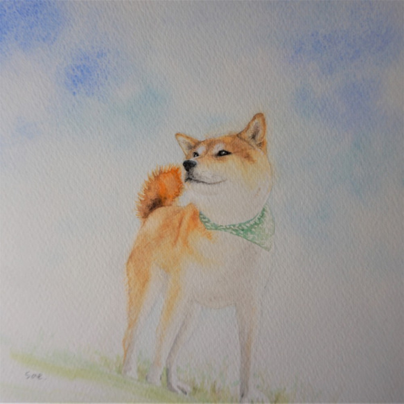 送料無料】絵画「柴犬、青空。」 絵画 sae. suisai 通販
